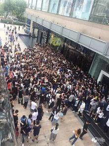 碧沙岗吃瓜群众,吃瓜群众的欢乐盛宴