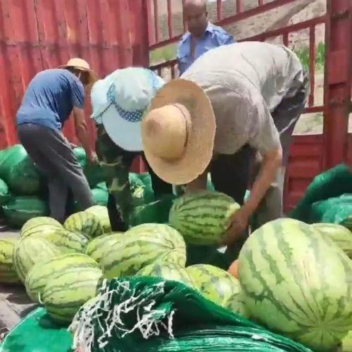 宿院吃瓜事件吃瓜群众,揭秘校园八卦背后的真相