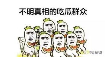 灾难来临吃瓜群众,吃瓜群众如何应对？