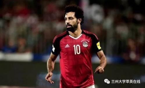 英超吃瓜群众,吃瓜群众视角下的赛场百态