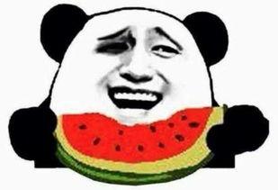 找你吃瓜群众视频大全,笑料百出，趣味横生