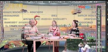 吃瓜群众朗朗乾坤,吃瓜群众的视角解读时代风云