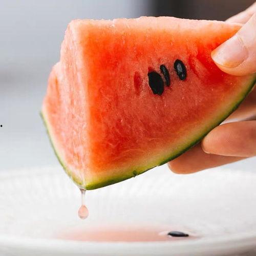 52集合吃瓜群众怎么吃,解锁瓜界美食新姿势