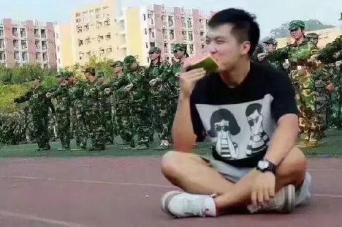 军哥的吃瓜群众