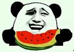 吃瓜群众绿本,揭秘吃瓜群众的神秘世界