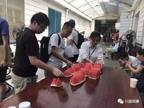 野区吃瓜群众,吃瓜群众眼中的电竞世界