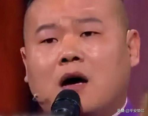 围殴吃瓜群众案例分析,揭示网络暴力与道德失范的警示录